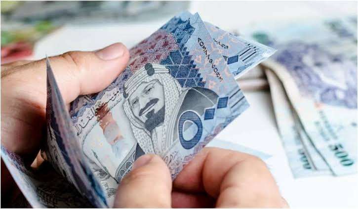 العوائد السنوية إستعلام
