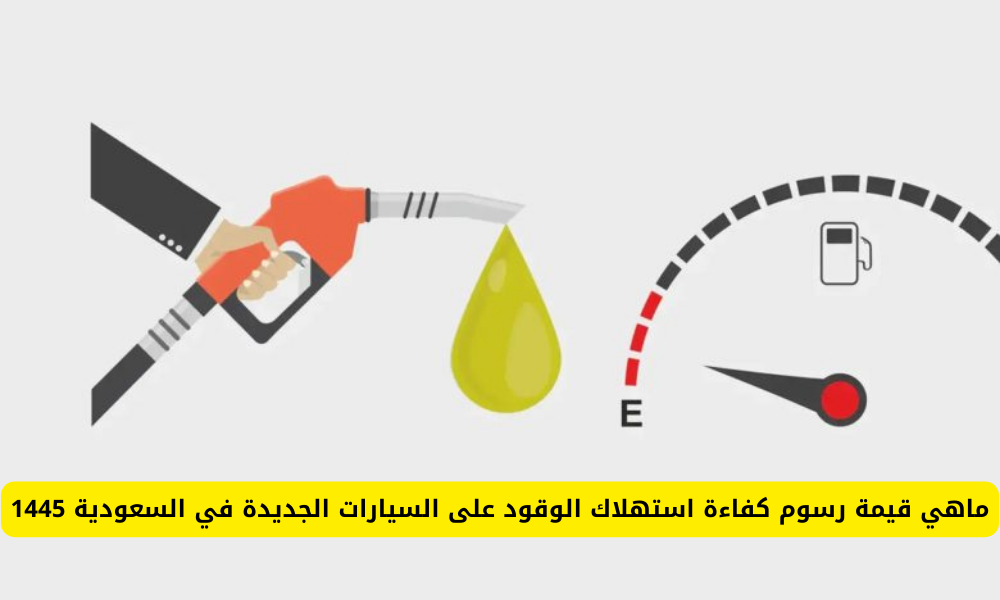 رسوم استهلاك الوقود