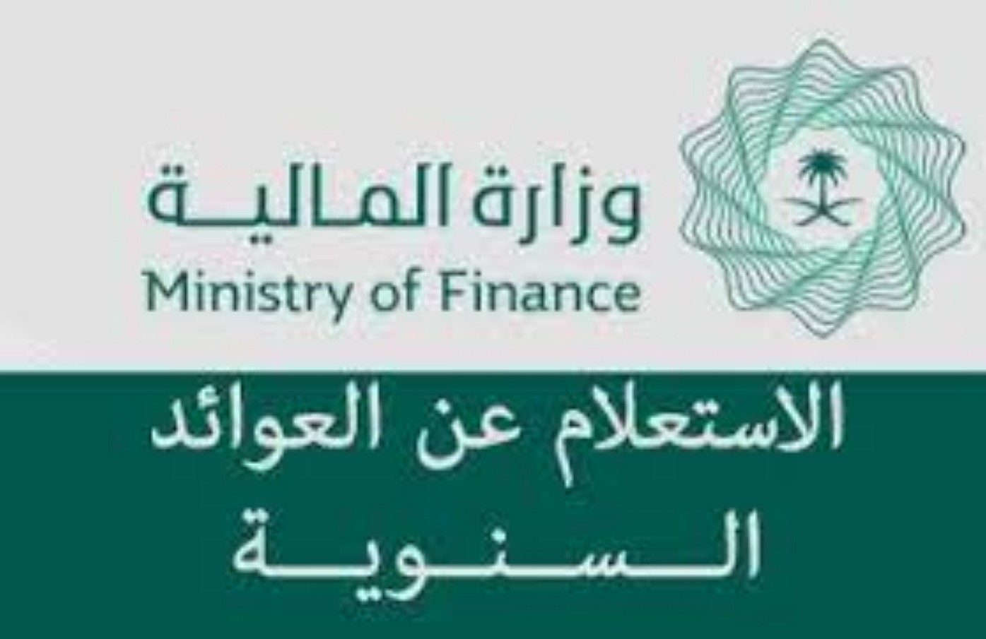 الاستعلام عن العوائد السنوية