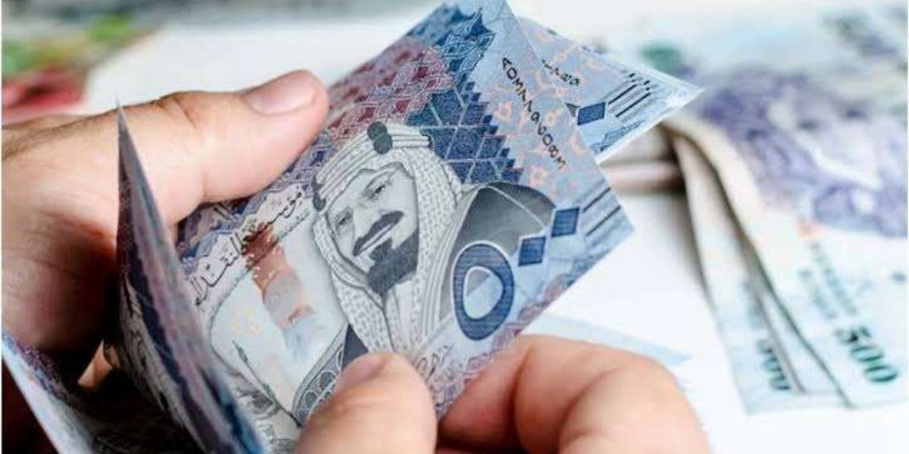 العوائد السنوية استعلام