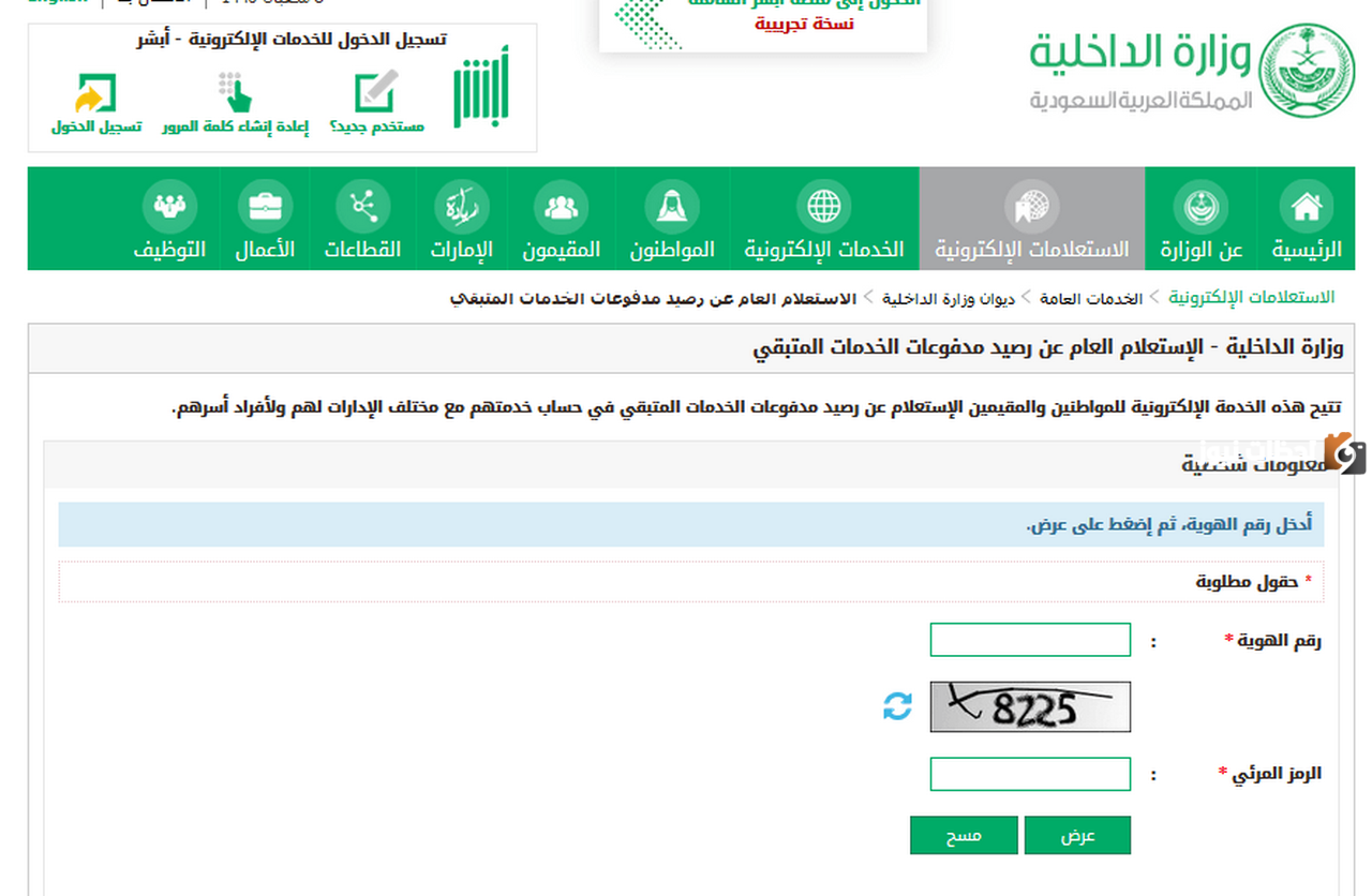 المدفوعات الحكومية
