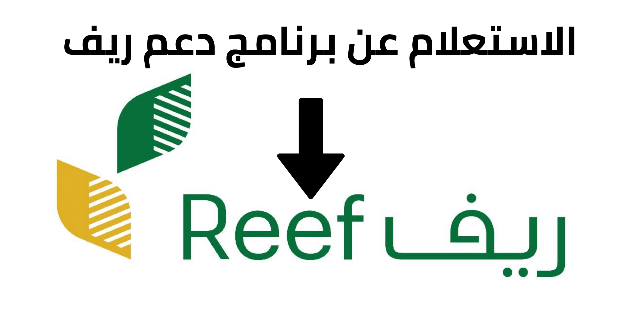الاستعلام عن الأهلية في برنامج ريف