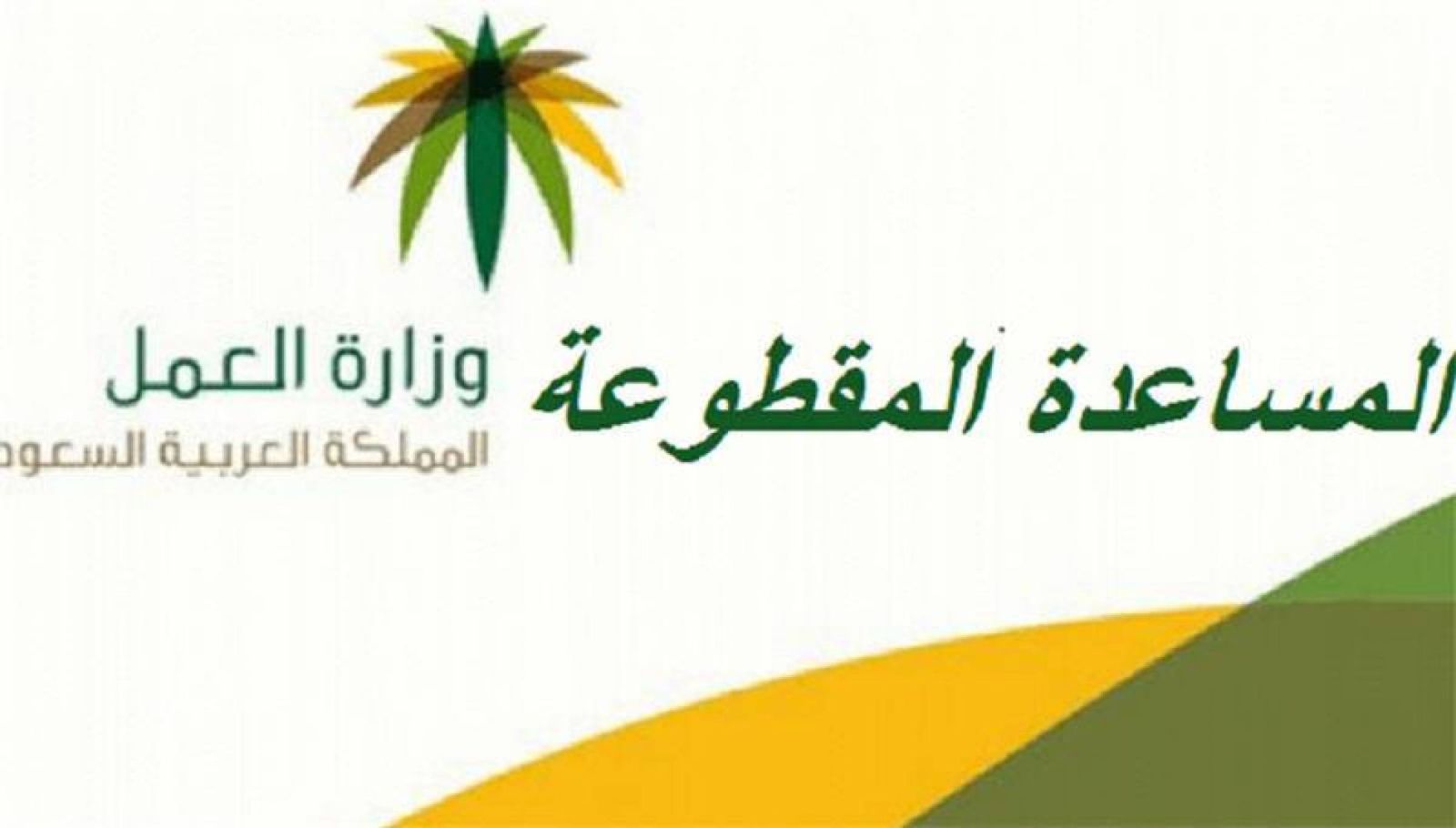 شروط الضمان الاجتماعي 