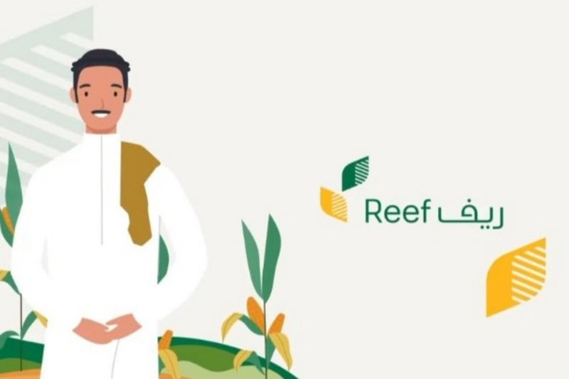 الاستعلام عن الأهلية في برنامج ريف