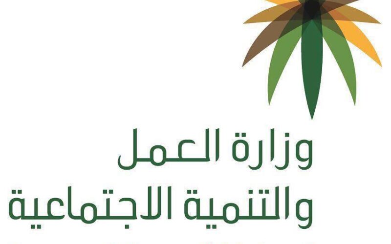 ​منصة الضمان الاجتماعي المطور