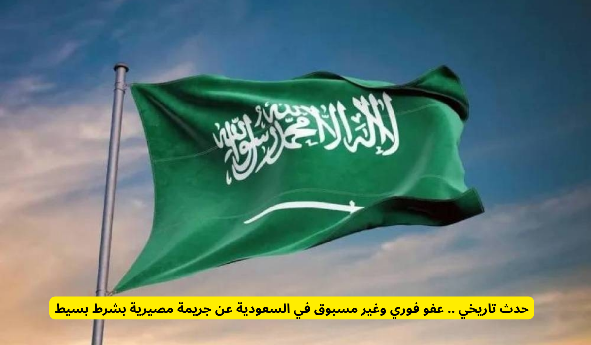 هيئة نزاهة 