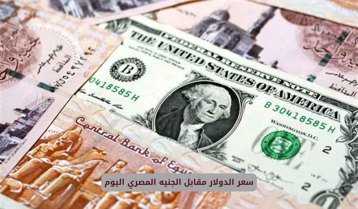 سعر الدولار مقابل الجنيه المصري