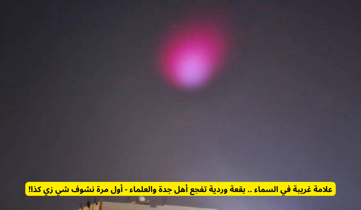 قعة وردية