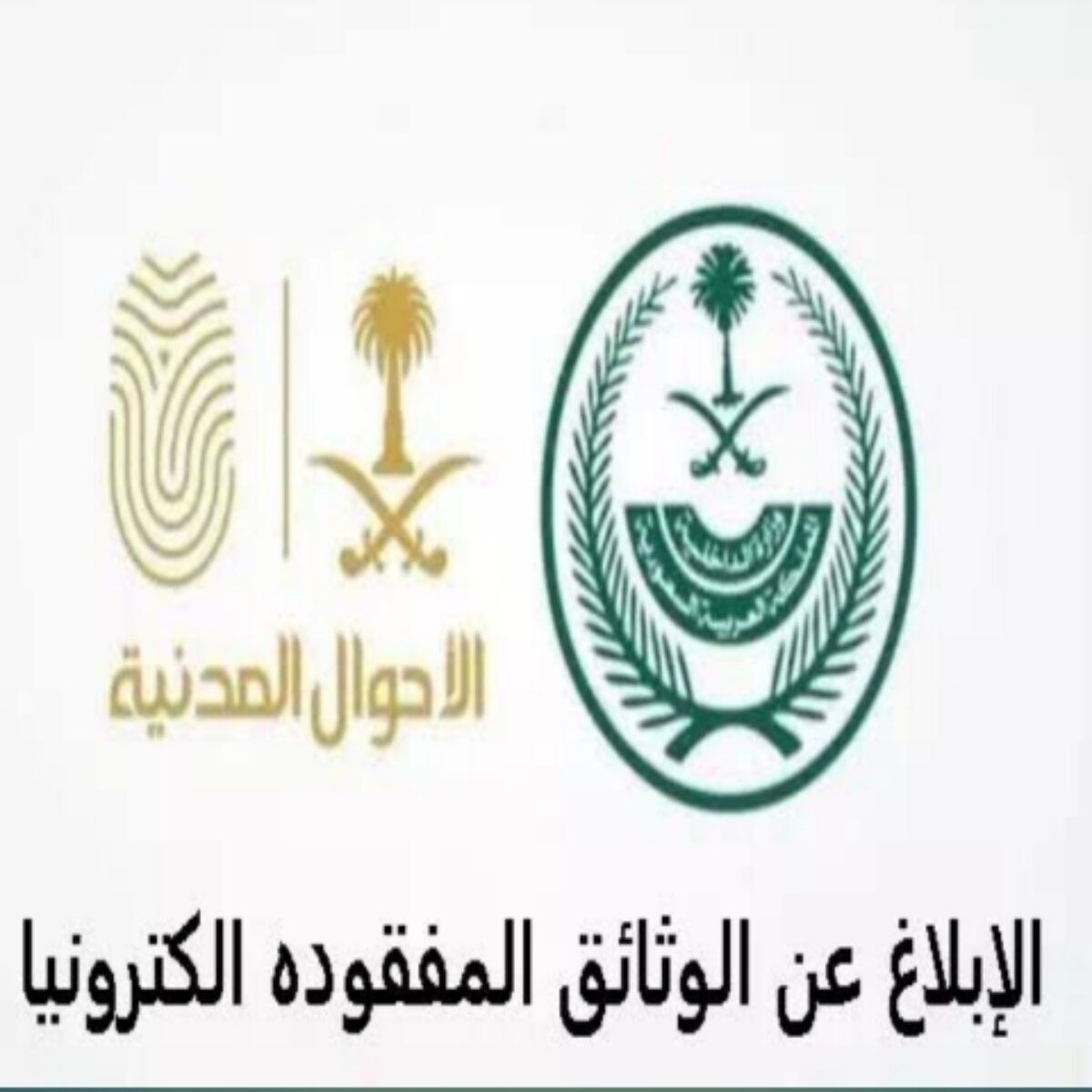 الابلاغ عن الوثائق المفقودة