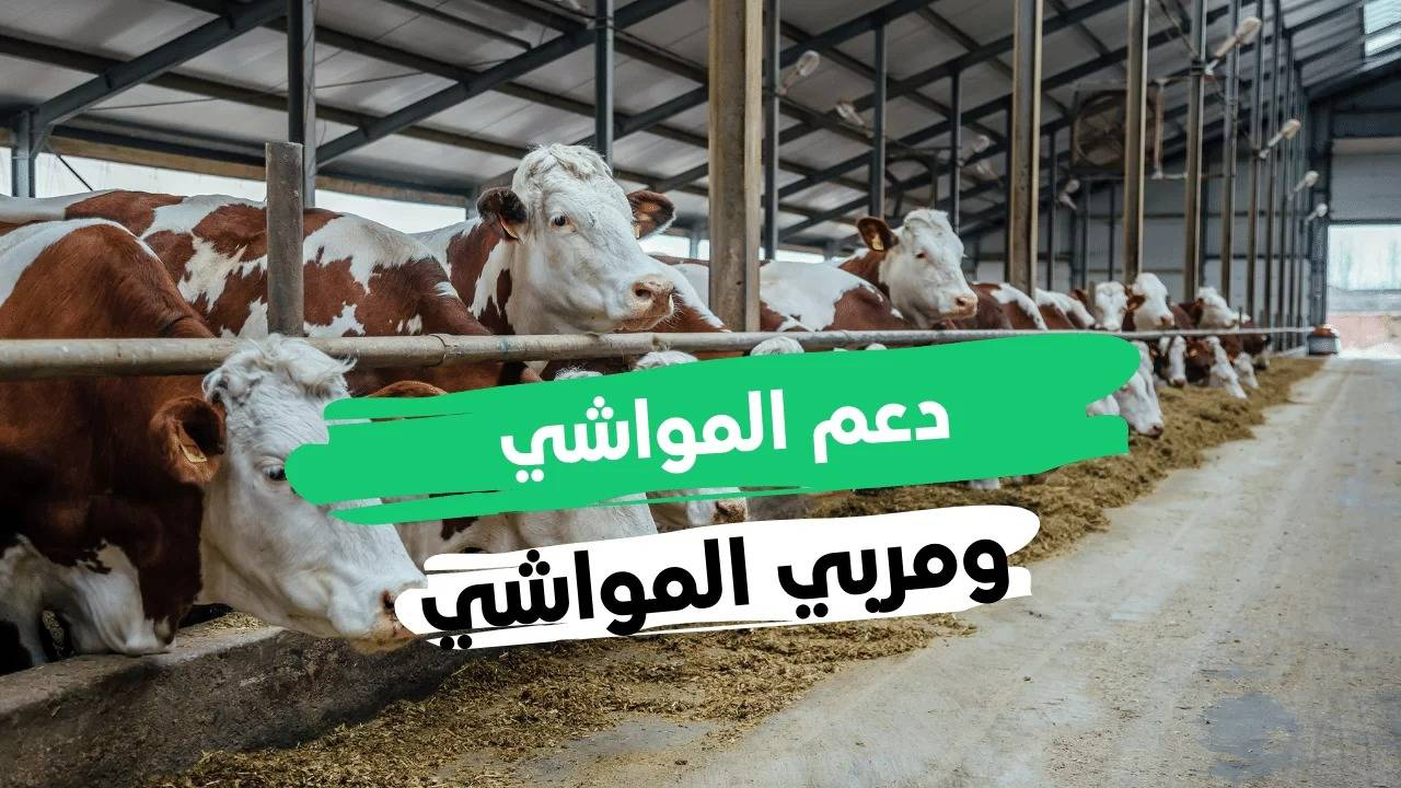 الاستعلام عن دعم مربي المواشي