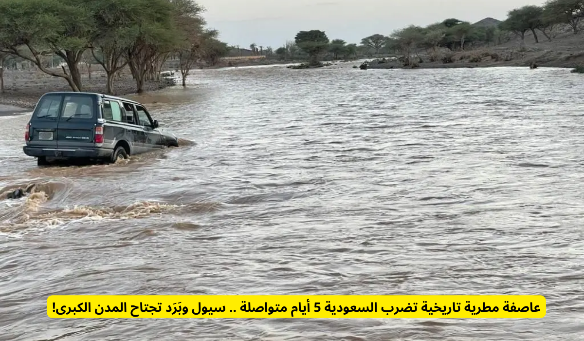 الحالة المطرية