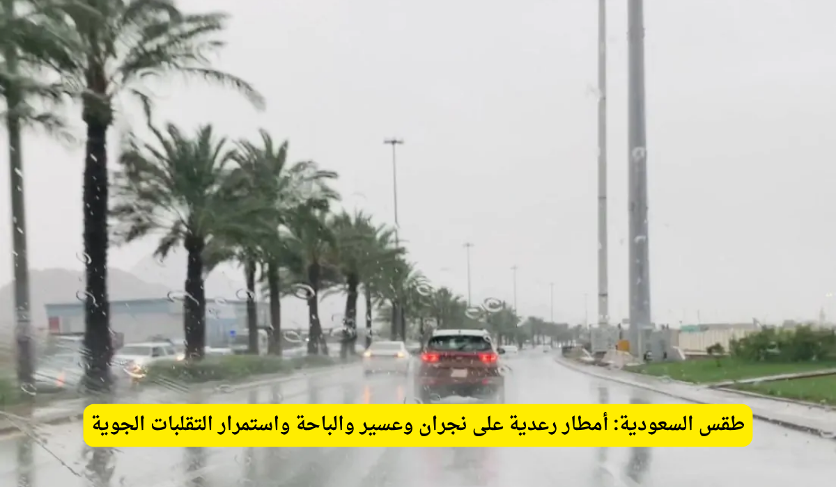 أمطار رعدية