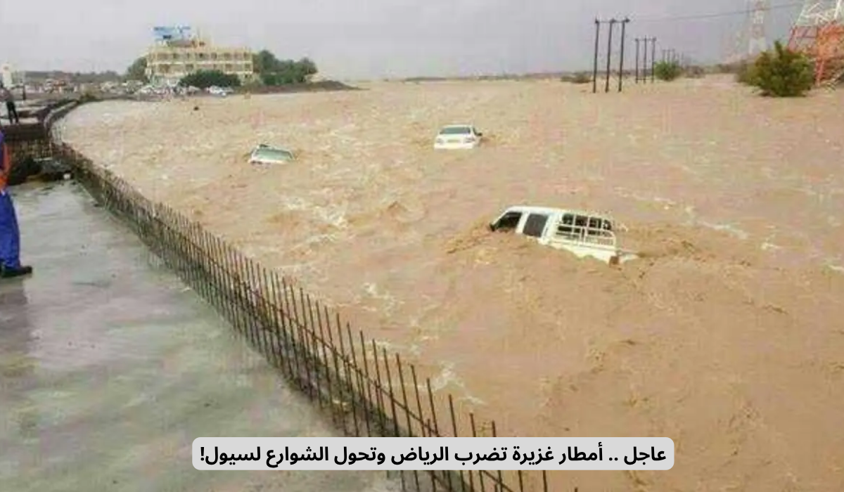 الحالة الجوية المتوقعة