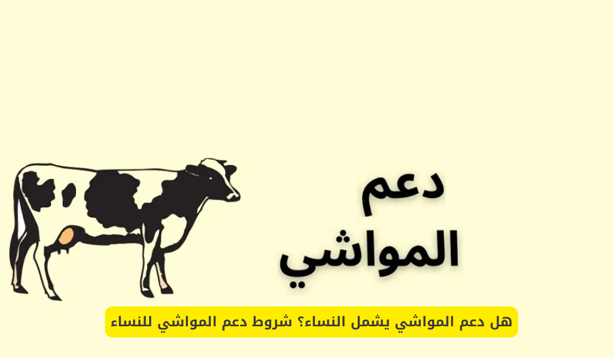 شروط دعم المواشي للنساء
