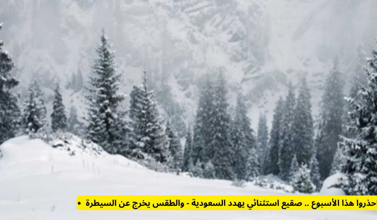 الموجة الباردة