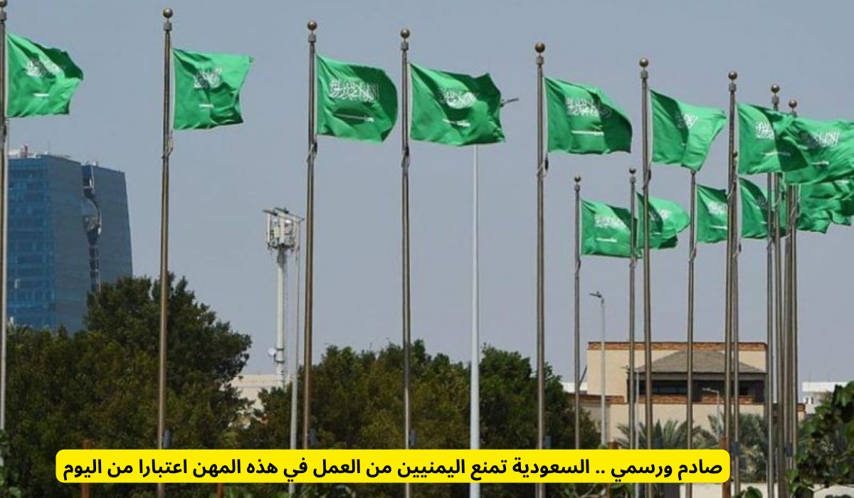حماية سوق العمل للمواطنين