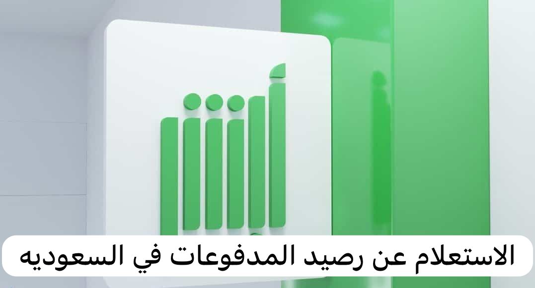 الاستعلام عن رصيد المدفوعات 