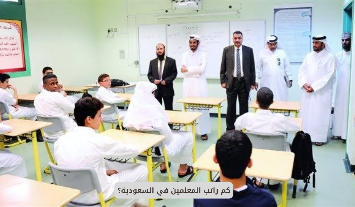 راتب المعلمين