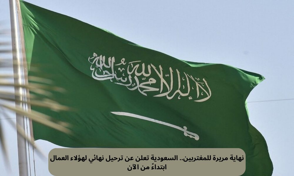 المهن التي سيتم توطينها