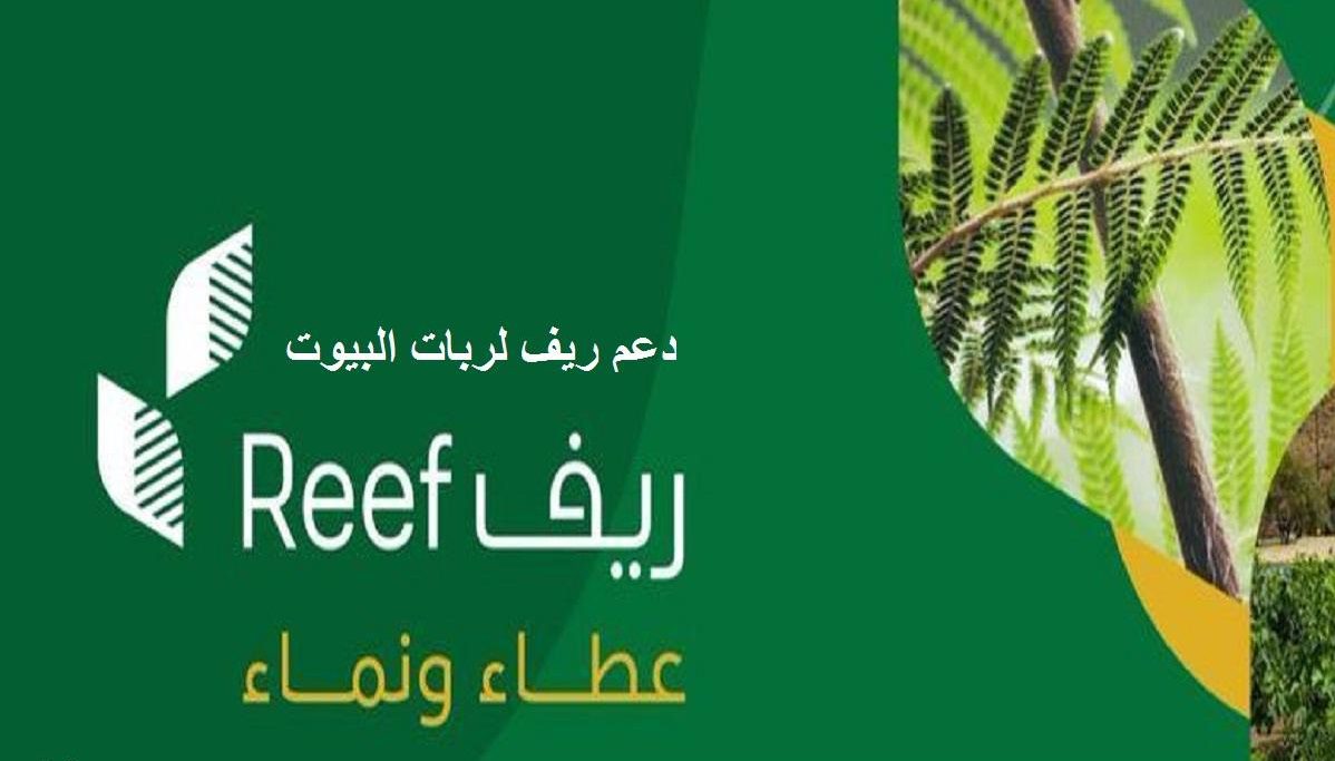 شروط الدعم الريفي للنساء 1445 