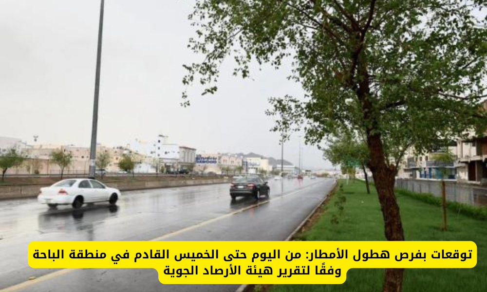 أمطار على السعودية