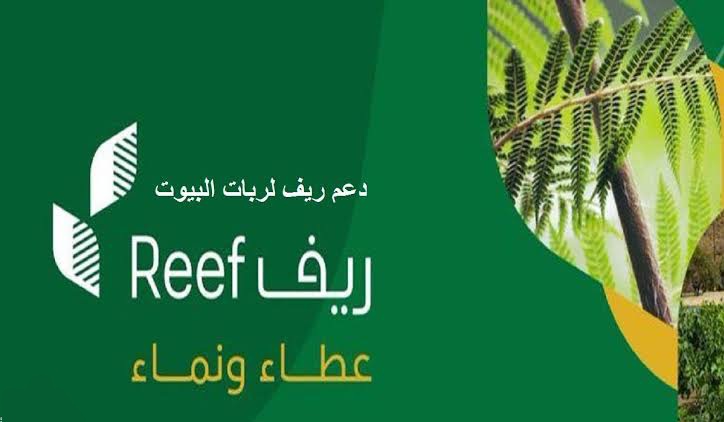 دعم ريف لربات البيوت