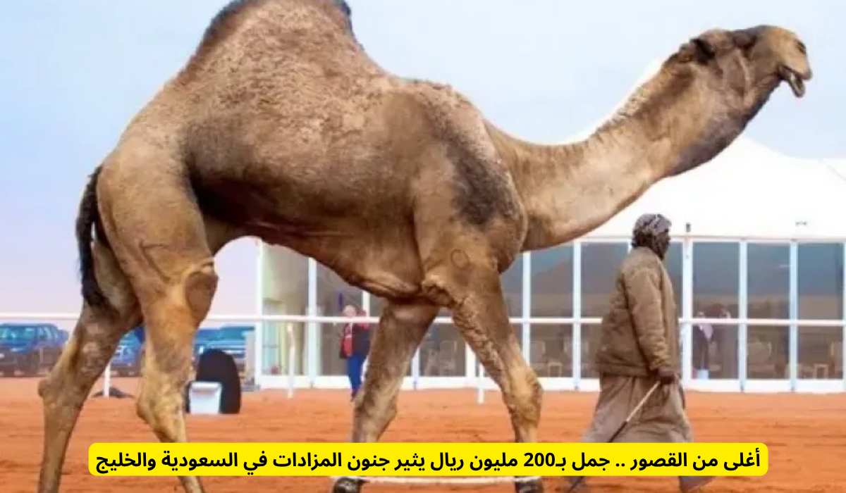 عرنون