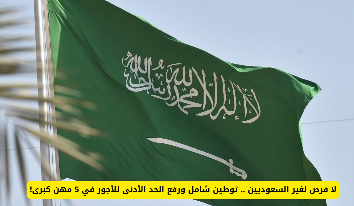 رفع نسب التوطين