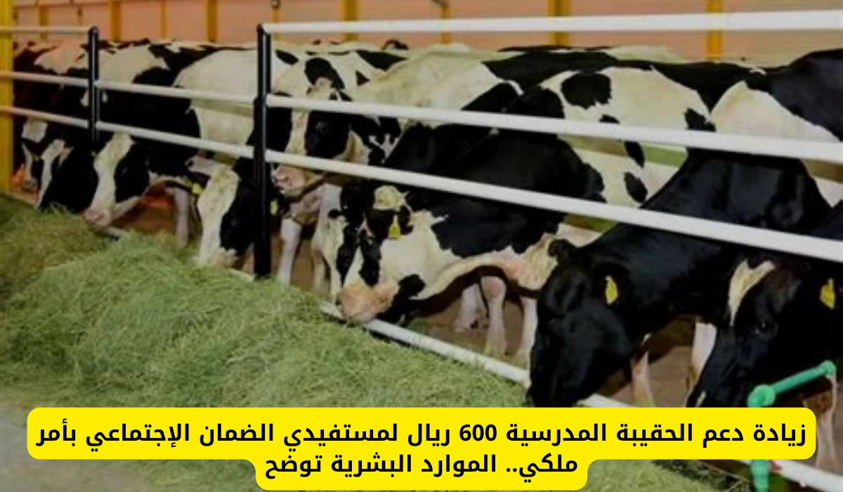 موعد صرف دعم المواشي