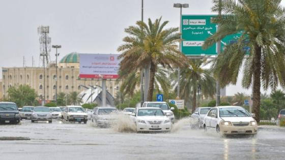 أمطار غزيرة على محافظات الشرقية