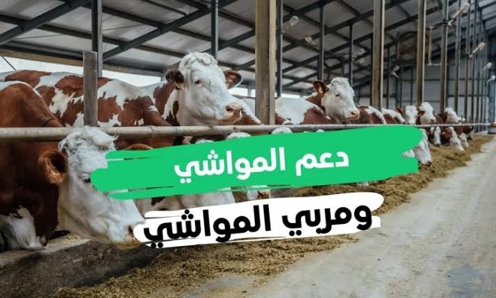 موعد صرف دعم المواشي