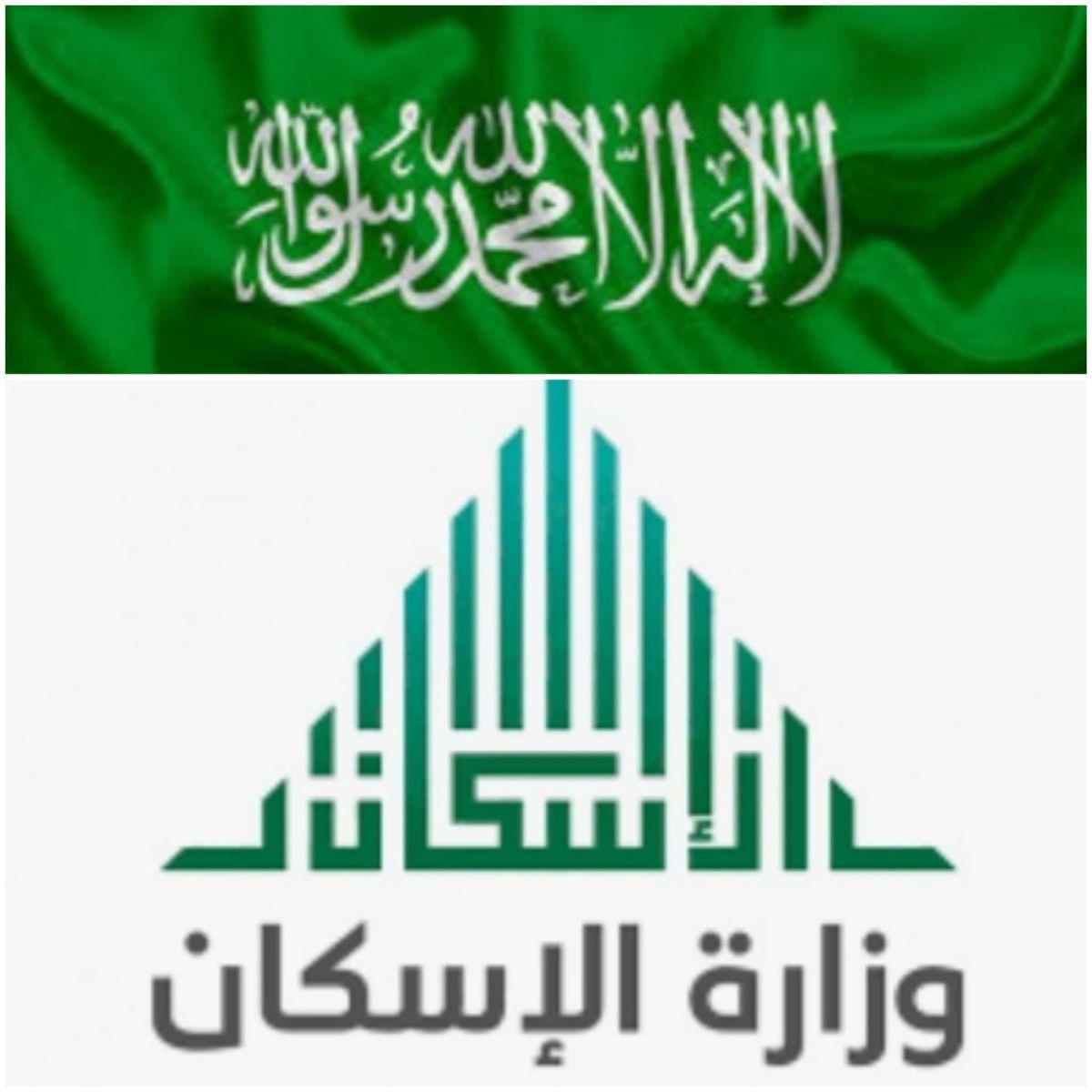 تقديم الأرملة مستفيدة الضمان على منحة الأراضي 